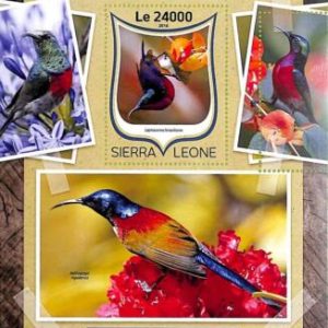 A8479 - SIERRA LEONE -ERROR MISPERF  Stamp Sheet - 2016 BIRDS  Sunbirds