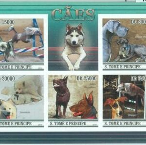M1612 - S TOME & PRINCIPE -  2010, IMPERF stamp SHEET: Dogs, Australian Kelpie