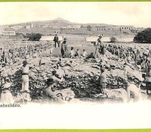 af2706 - URUGUAY - VINTAGE POSTCARD - MONTEVIDEO