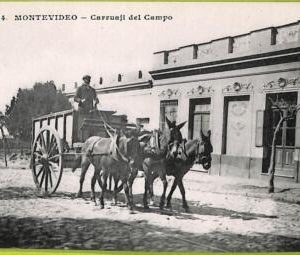 af2716 - URUGUAY - VINTAGE POSTCARD - MONTEVIDEO