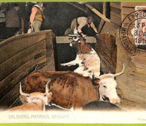 af2742 - URUGUAY - VINTAGE POSTCARD - Saladero - 1930
