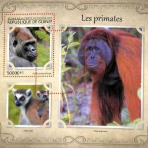 A5001- GUINEA - FEHLER - MISPERF Briefmarkenbogen 2017 Affen