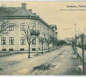 07650 - SWEDEN - Picture postcards VINTAGE POSTCARD - Falkenberg