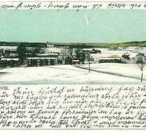 07646 - SWEDEN - Picture postcards VINTAGE POSTCARD - Viker VIKERSVIK