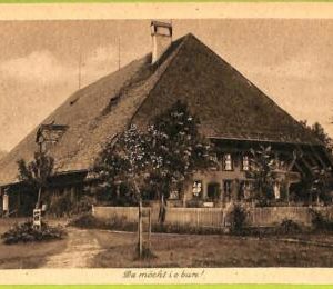 ad4061 - SWITZERLAND Schweitz - Ansichtskarten VINTAGE POSTCARD  - Bern - 1924