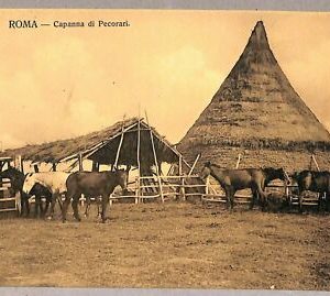 ab0504 - VINTAGE POSTCARD - ROME City: Pecorari hut