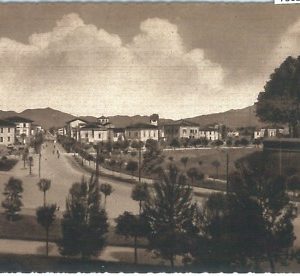 73629 - CARTOLINA d'Epoca - LUCCA Citta'  - PANORAMA