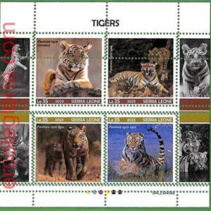 B1778 - SIERRA LEONE - ERROR MISPERF Stamp Sheet - 2023 - TIGERS, ANIMALS