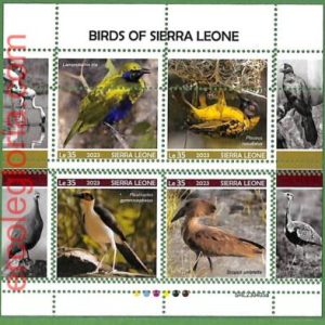 B1779 - SIERRA LEONE - ERROR MISPERF Stamp Sheet - 2023 - BIRDS
