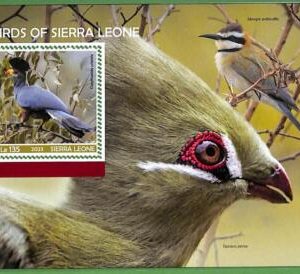 B1784 - SIERRA LEONE - ERROR MISPERF Stamp Sheet - 2023 - Birds