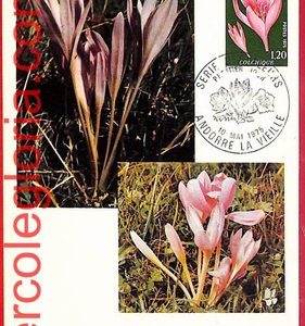 56900 - ANDORRA - Postal History - Set of 3 MAXIMUM CARD - FLOWERS - 1975