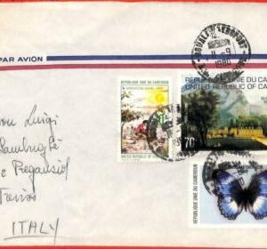 aa3189  - CAMEROUN Cameroon - Postal History - COVER to ITALY 1980 - Butterflies