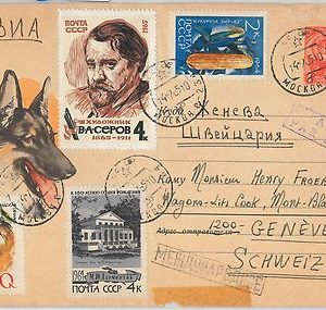 56706 -  Dogs: GERMAN SHEPPERD - RUSSIA - POSTAL  STATIONERY COVER