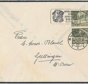 56687 - FAUNA Dogs - SWITZERLAND -  POSTAL HISTORY: Postmark on COVER 1952