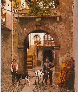54760 -- CARTOLINA d'Epoca - LAGO di GARDA:  Torbole sul Garda
