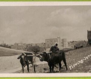 af3211 - JUDAICA vintage postcard: ISRAEL - Jerusalem - Real photo