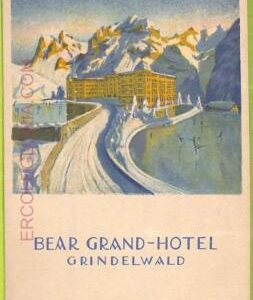 ad4409 - SWITZERLAND Schweitz - Ansichtskarten VINTAGE POSTCARD - Grindelwald