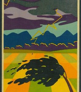 Lib1071 - CARTOLINA d'Epoca PUBBLICITARIA Illustrata - FINAZZER Assicurazioni