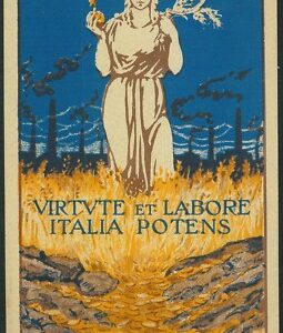 Lib1078 - CARTOLINA d'Epoca   Illustrata - NATOLI Vitute et Labore Italia Potens