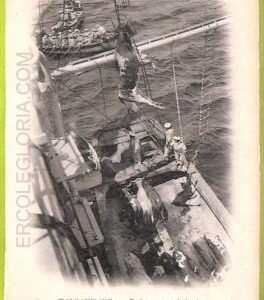 aa5601 - CHILE - Vintage Postcard - Tapcahuano