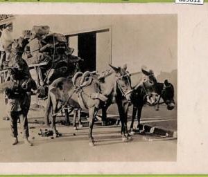 aa5612 - CHILE - Vintage Postcard  - Ethnic