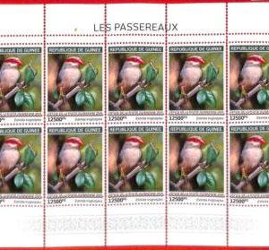 A1991- GUINEA, ERROR: IMPERF, MINIATURE SHEET - 2019, Passerine Birds