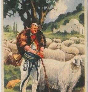 79353 - ALBANIA - VINTAGE Ethnic POSTCARD  -  COSTUMES
