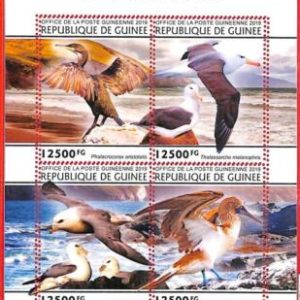 A1976 - GUINEA, ERROR: MISSPERF, MINIATURE S - 2019 Seabirds, Birds, Marine life