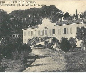 73598 - CARTOLINA d'Epoca - LUCCA  -  PIEVE DI SANTO STEFANO