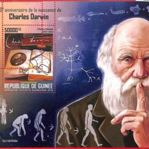 A1978 - GUINEA, ERROR: MISSPERF, SOUVENIR SHEET - 2019, C. Darwin, Prehistory