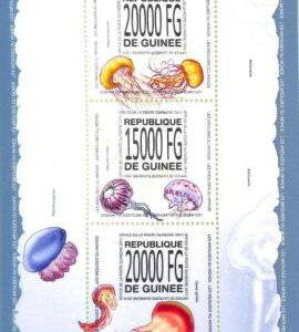 A7997 -  GUINEE - Stamp Sheet - 2013 jelly fish MEDUSA Marine Life