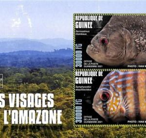 A7987 - REP.GUINEE - ERROR MISPERF  Stamp Sheet -2021 FISHES