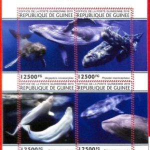 A1971 - GUINEA, ERROR: MISSPERF, MINIATURE SHEET - 2019, Whales, Marine Life