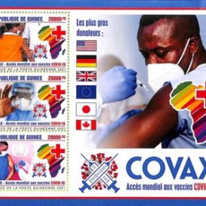 A8090  - REP.GUINEE - Stamp Sheet - 2021 Disease Medicine RED CROSS