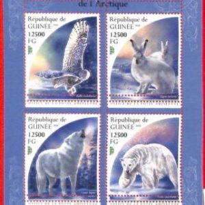 A1935 - GUINEA, ERROR: MISSPERF, MINATURE S - 2018 Antarctic, Bears, Wolfs, Owls