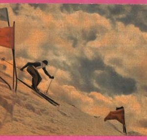 af9393 -   VINTAGE POSTCARD  Ansichtskarten - Winter Sport Skiing
