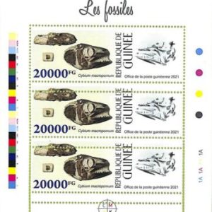 A8070 - REP.GUINEE - ERROR MISPERF  Stamp Sheet - 2021 Fossils