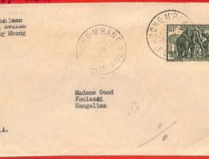 aa3204 - CAMEROUN  - Postal History - COVER from ABONG MBANG 1937 - Elephants