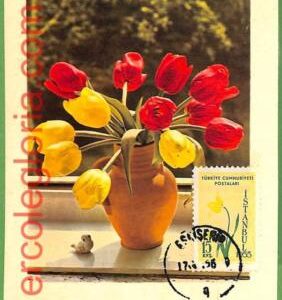 32473 - TURKEY -  MAXIMUM CARD - 1956 - Flowers