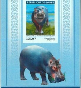 A1950 - GUINEA, ERROR: IMPERF, Souvenir sheet: 2019, Hippopotamus, Fauna