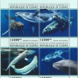 A1971 - GUINEA, ERROR: MISPERF, Miniature sheet: 2019, Whales, Marine Life