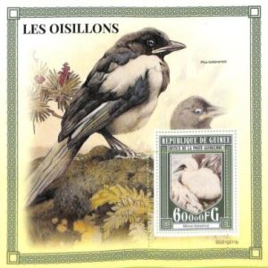 A7965 - REP.GUINEE -  ERROR MISPERF  Stamp Sheet -2021  BIRDS Animals