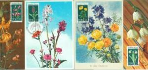 67469 -  GERMANY DDR  - Postal History -  set of 4 Maximum CARD 1969  -  FLOWERS