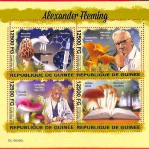 A1963 -GUINEA, ERROR: MISSPERF, MINI SHEET -2019 Mushrooms, A. Fleming, Medicine