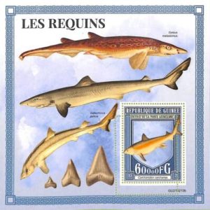 A7989 - REP.GUINEE - ERROR MISPERF  Stamp Sheet -2021 FISHES