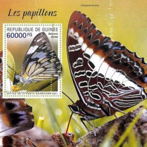 A7950 - REP.GUINEE -  ERROR MISPERF  Stamp Sheet -2021  INSECTS Butterflies