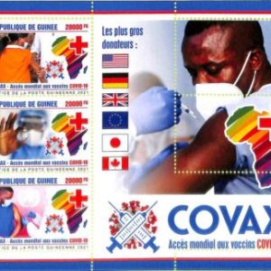 A8090a - REP.GUINEE -ERROR MISPERF  Stamp Sheet - 2021 Disease Medicine