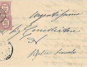 ITALIA REGNO:  storia postale - FRANCOBOLLI di SERVIZIO Sass 2 x 4 su BUSTA 1876