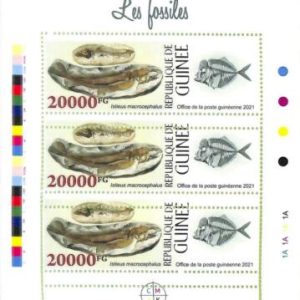 A8069 - REP.GUINEE - ERROR MISPERF  Stamp Sheet - 2021 Fossils