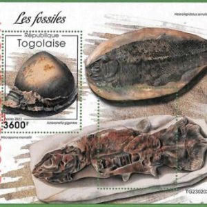 B1878 - TOGOLAISE - ERROR MISPERF Stamp Sheet - 2023 -   Fossils